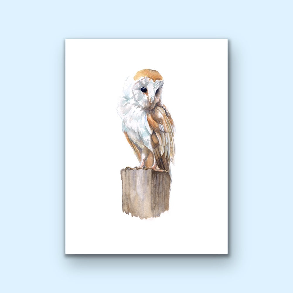 Barn Owl - Original Watercolour SOLD