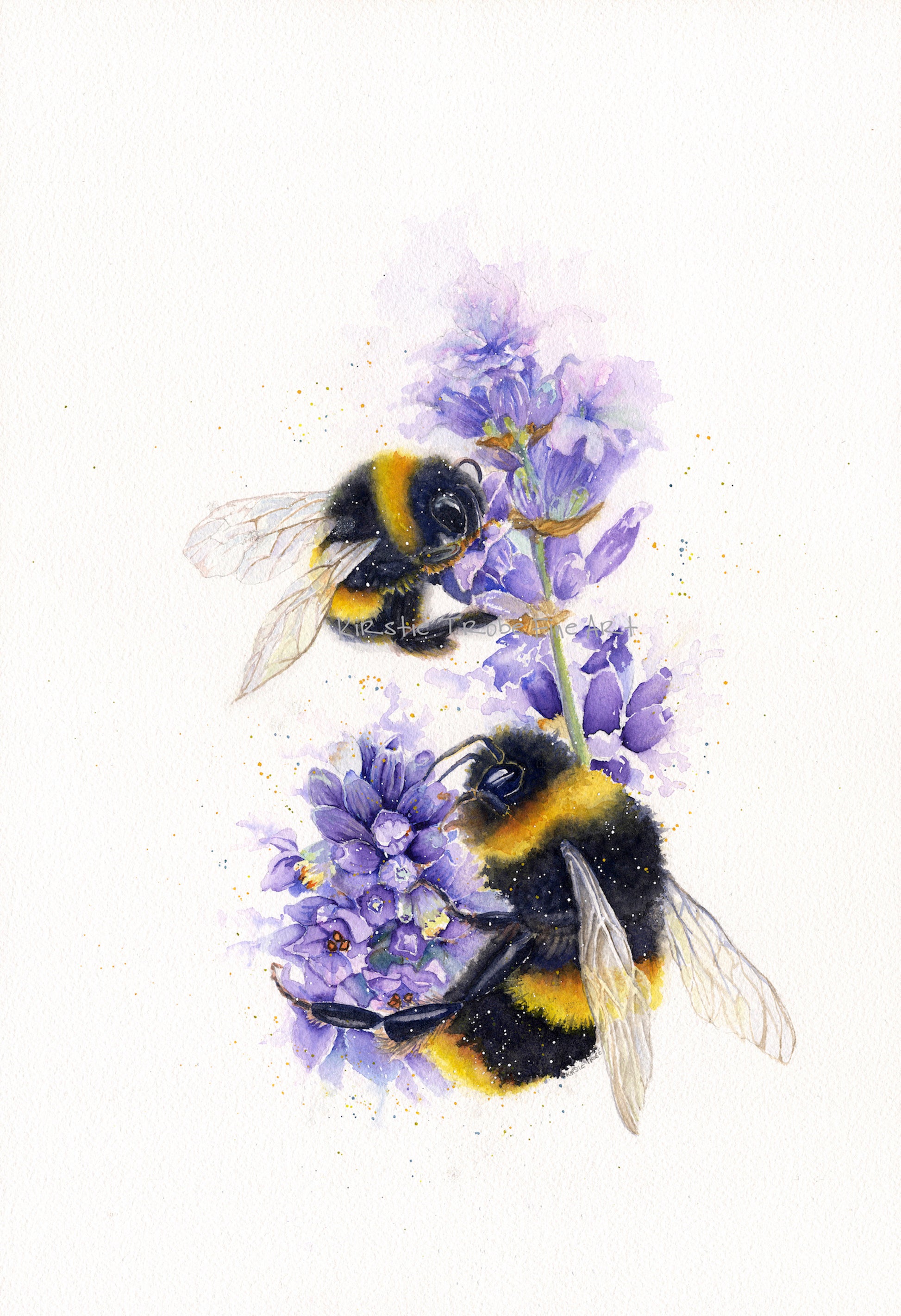 Two fluffy fuzzy bumble bees feed on two lavender flowers. They are depicted in a portrait fashion, the top bee is smaller and further away. The bees form a Ying and Yang shape. Original Painting to fit 20x16 inch frame
