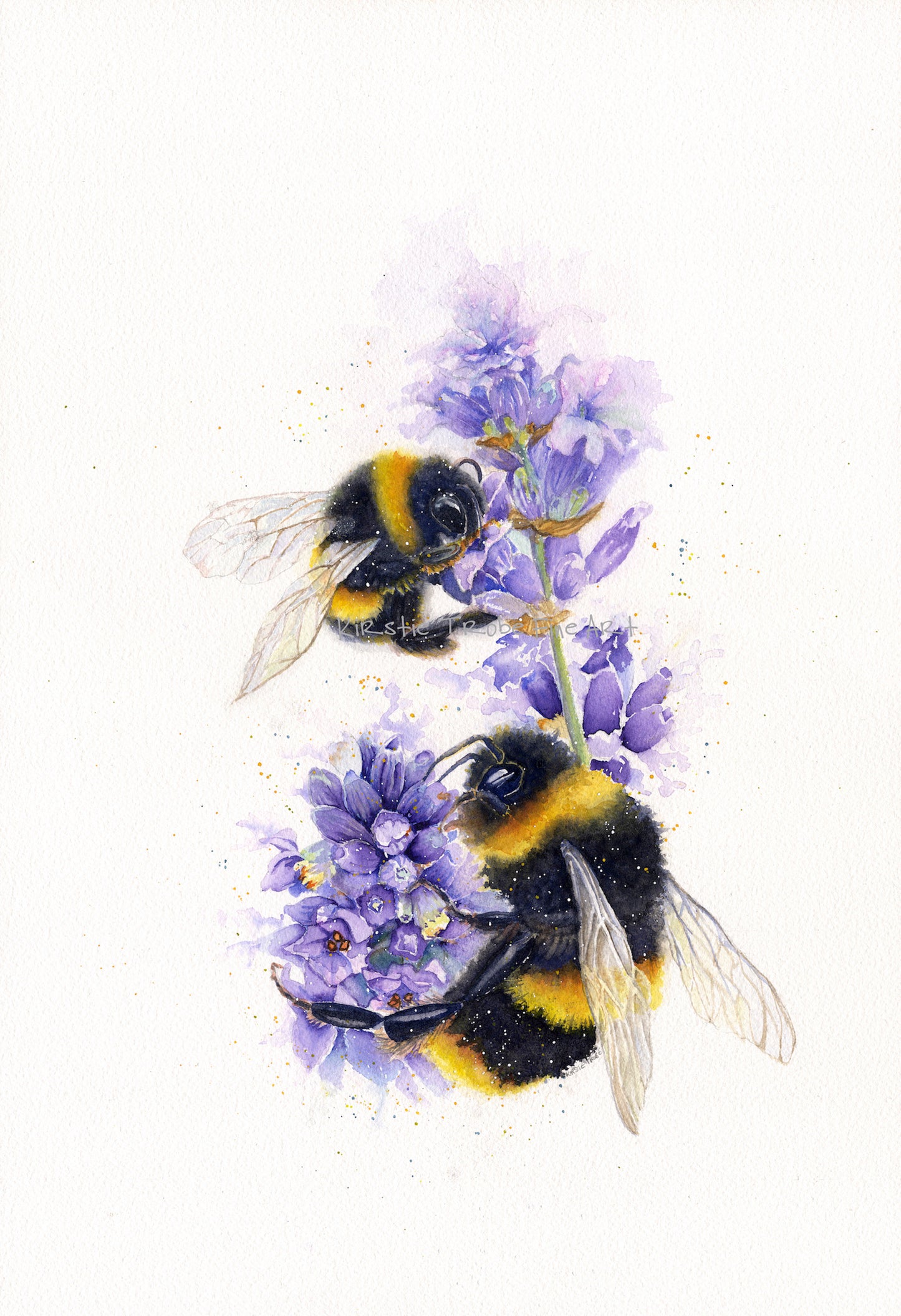 Two fluffy fuzzy bumble bees feed on two lavender flowers. They are depicted in a portrait fashion, the top bee is smaller and further away. The bees form a Ying and Yang shape.