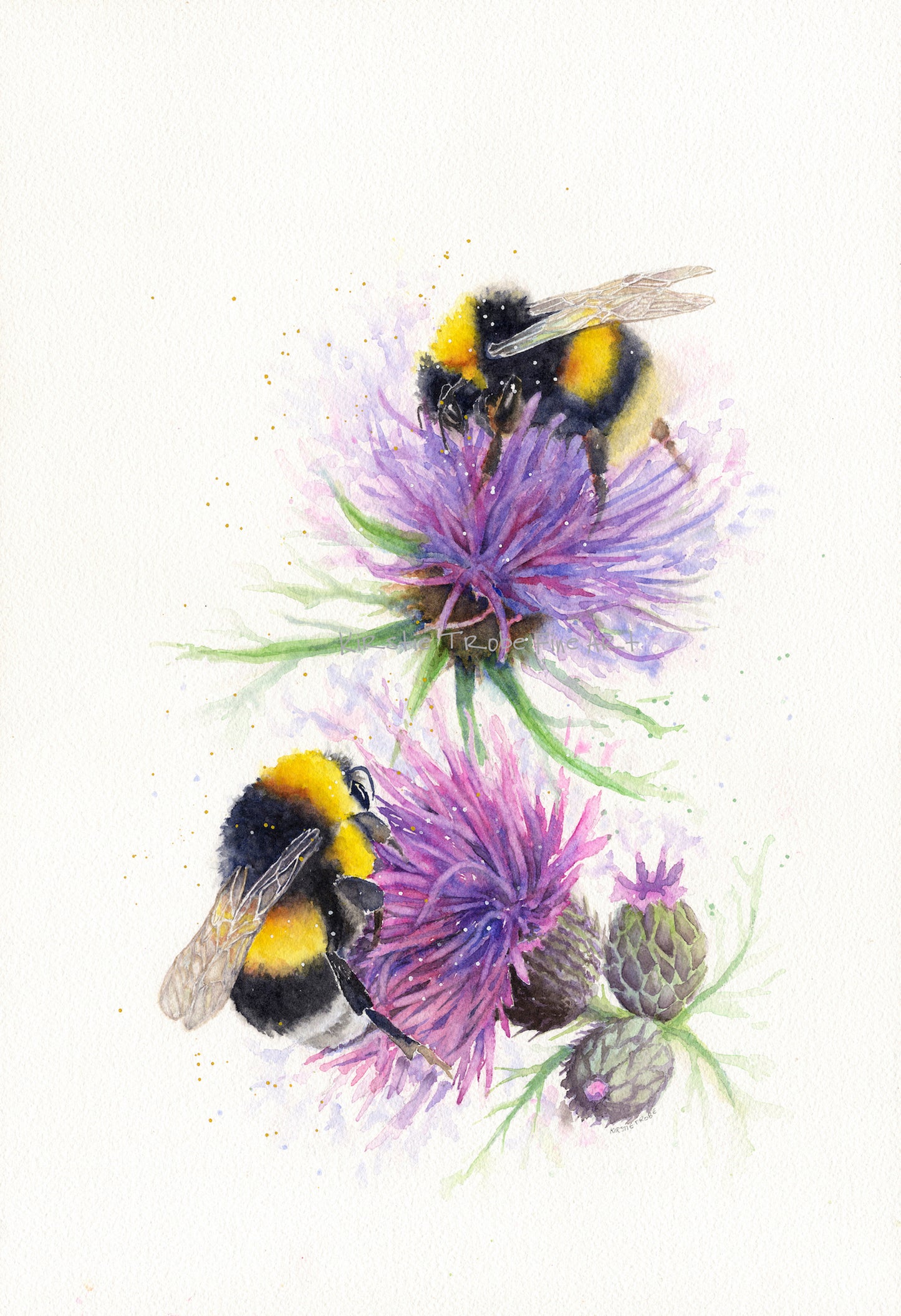 Two fluffy, fuzzy bumble bees feed on two thistles. The yellow and black of their fur contrasts with the purple pink of the thistle flowers. The bees are positioned one above the other in a portrait orientation