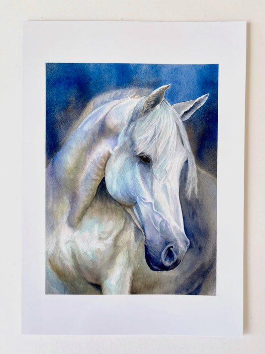 A portrait shot of a grey horse, head turned to the right. Its body is visible to the top of the legs and the reflected blues and purples of the background night sky can be seen on its defined muscles and white mane.