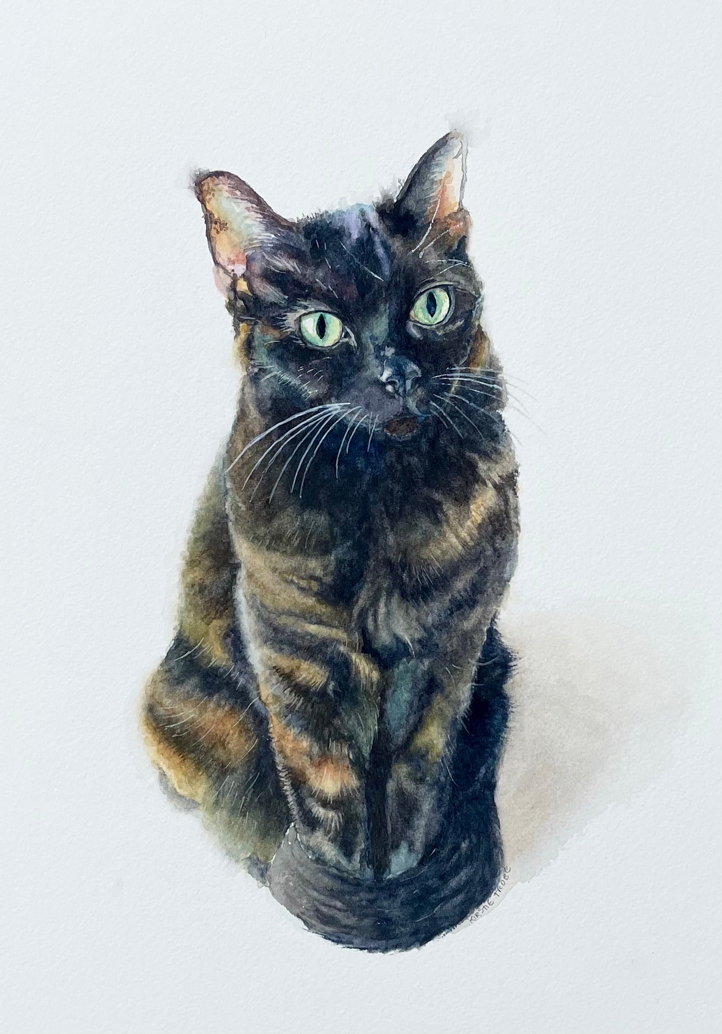 Phoebe Cat
