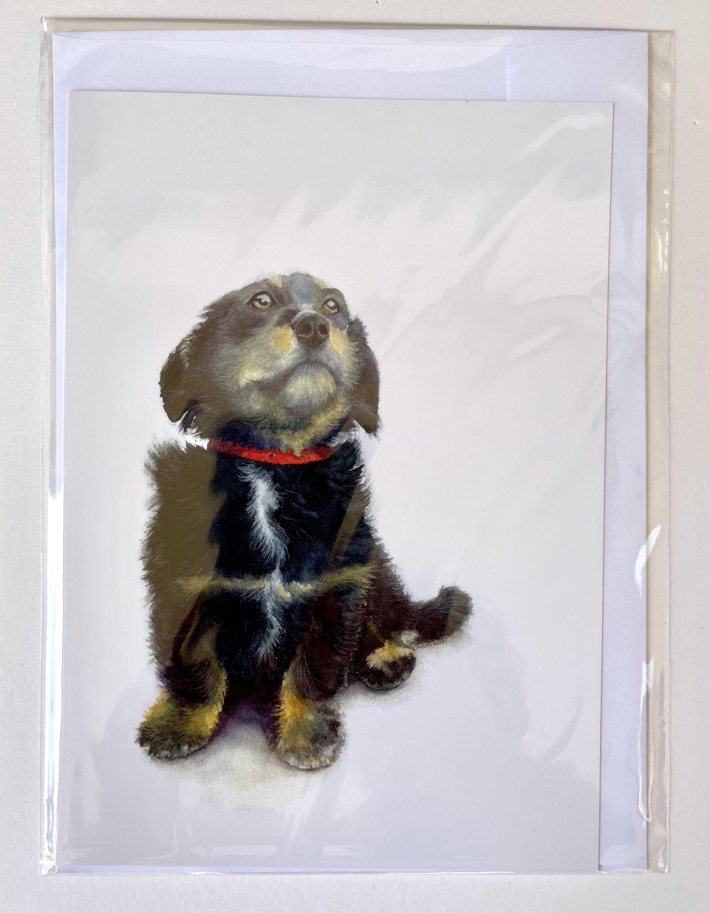 Puppy with Red Collar, A5 Greeting Card. Blank inside.