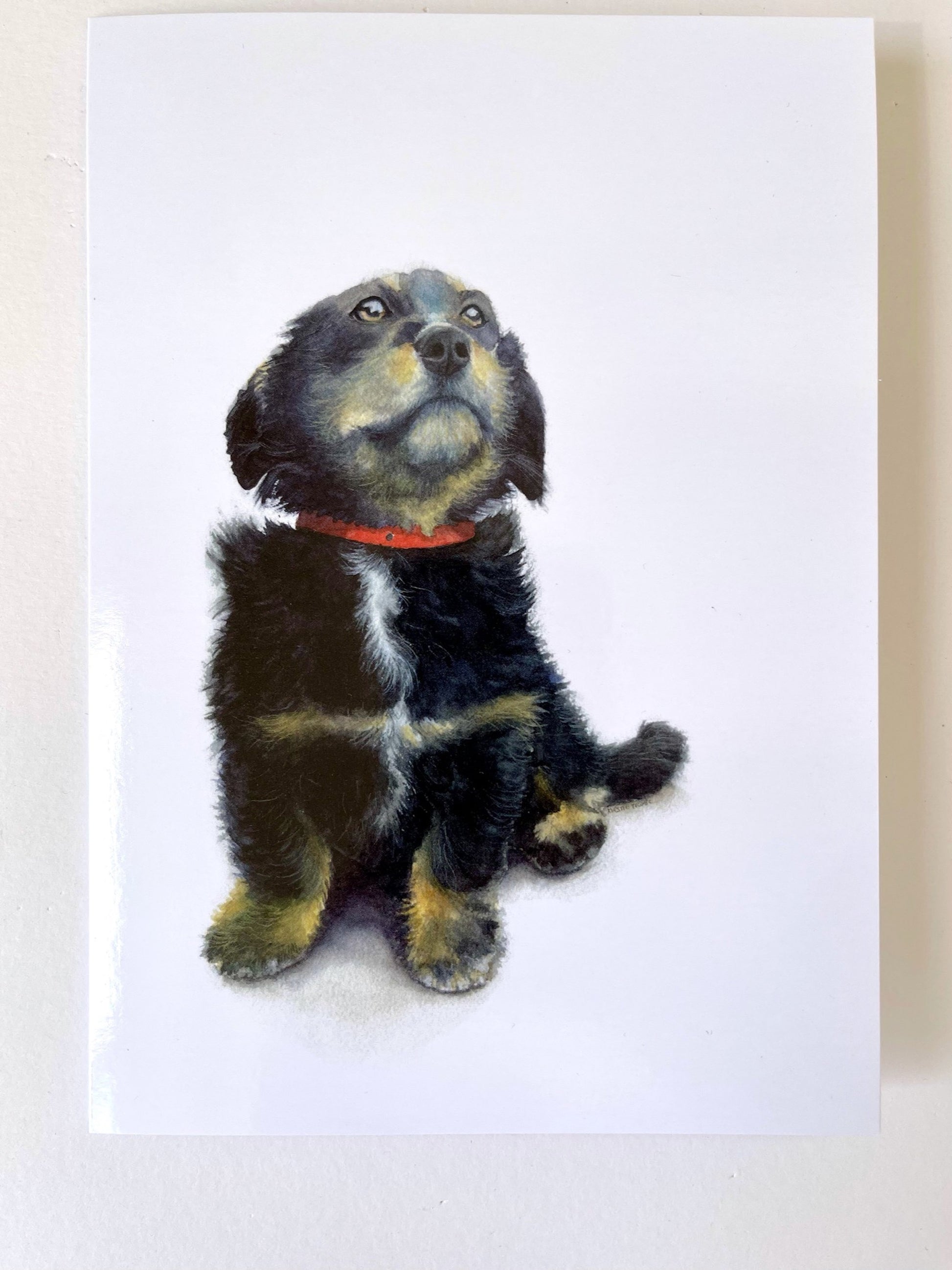 Exhibited at the prestigious Royal Society of British Artists Annual Exhibition at the Mall Galleries in London. A lone puppy sits at the bottom left gazing to the top against a white background. A red collar stands out against its black tufts of fur