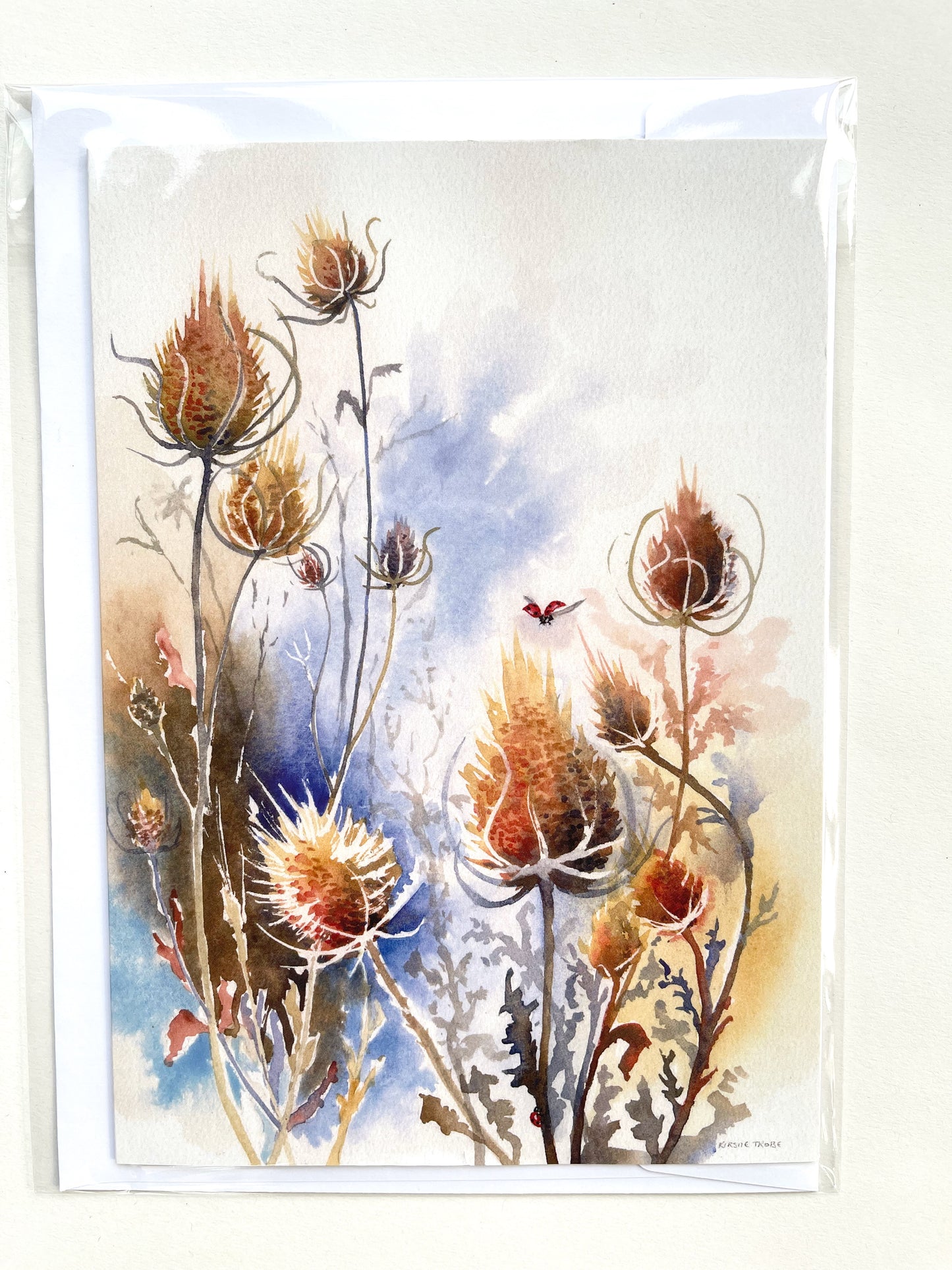 Teasels, A5 Greeting Card. Blank inside.