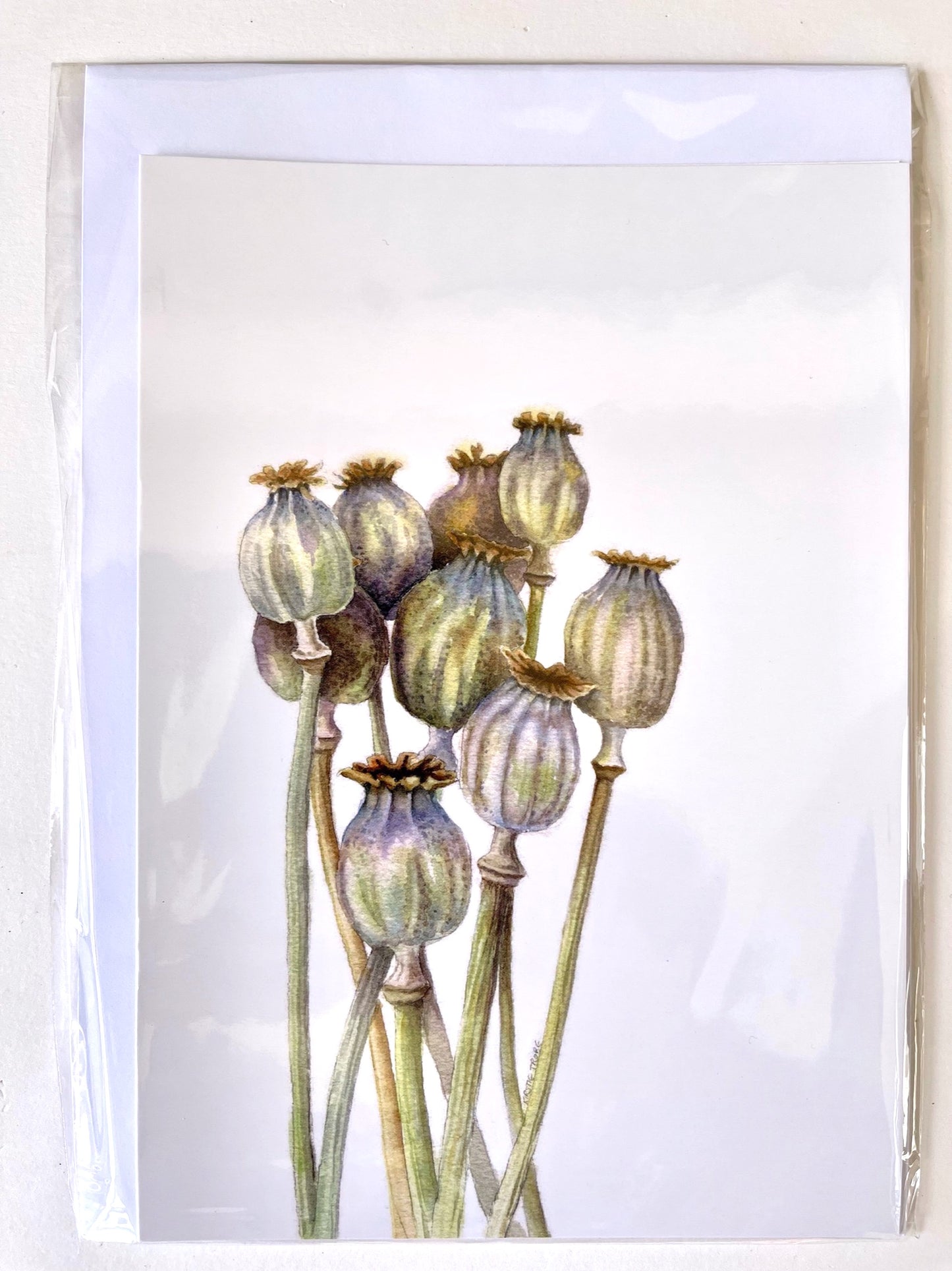 Seedhead Poppies, A5 Greeting Card. Blank inside.